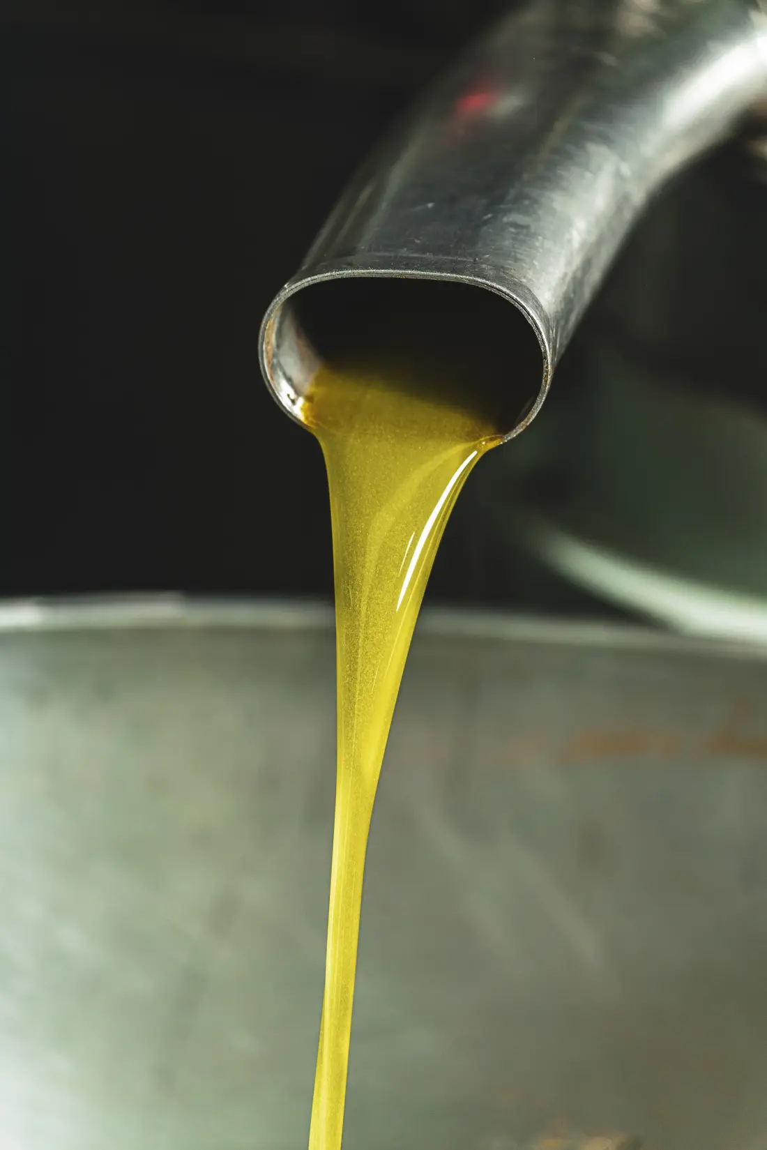 L'huile d'olive coule du bec de l'extracteur
